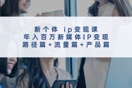 新个体ip变现课，年入百万新媒体IP变现，路径篇 流量篇 产品篇