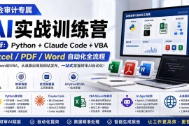 财会审计专属 AI实战训练营：Python Claude Code VBA，Excel/PDF/Word自动化全流程 (更新