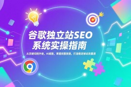 谷歌独立站SEO系统实操(更新