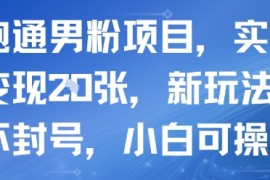 新跑通男粉项目，实测每天变现多张，新玩法不违规不封号，小白可操作
