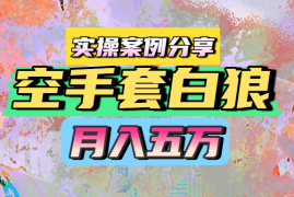 空手套白狼，月入五万，实操案例分享