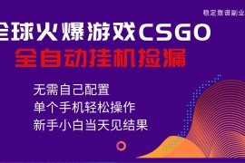 火爆游戏CSGO全自动捡漏，独家最新玩法，单个手机可操作，新手小白日入500 