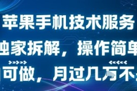 苹果手机技术服务，独家拆解，操作简单，小白可做，月过1W不是梦
