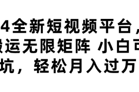 2024全新短视频平台，无限搬运无限矩阵，小白可入坑，轻松月入过万