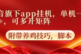 抖音旗下app自动挂机，单机一天收益25 ，可多开矩阵