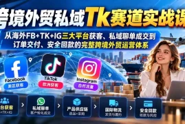 跨境外贸私域Tk赛道实战课：从海外FB TK IG三大平台获客、私域聊单成交到订单交付、安全回款的完整跨境外贸运营体系