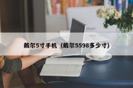 戴尔5寸手机（戴尔5598多少寸）