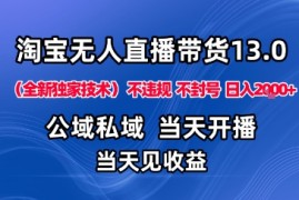 淘宝无人直播13.0，公域私域技术，不封号，不违规布局下半年旺季赛道，日入1K （独家技术）【揭秘】