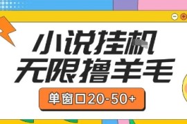 最新小说挂G自撸玩法本人实操单窗口20-50 可矩阵放大操作【揭秘】