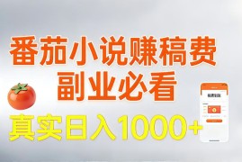 全网独家，番茄小说賺稿费邪修玩法，操作超级简单，单日收益1k 【揭秘】