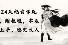 （10239期）2024天纪玄学玩法，零基础上手，稳定收入（教程 工具）