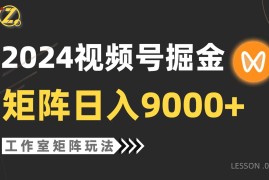 （9709期）【蓝海项目】2024视频号自然流带货，工作室落地玩法，单个直播间日入9000 
