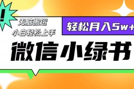 （12500期）微信小绿书8.0，无脑搬运，轻松月入5w 