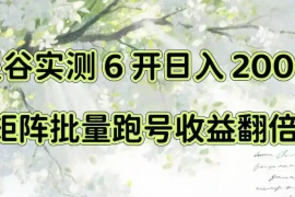 一台电脑就能做！灵谷实测6开日入200 ，矩阵批量跑号收益翻倍【揭秘】