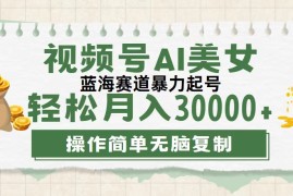 （12087期）视频号AI美女跳舞，轻松月入30000 ，蓝海赛道，流量池巨大，起号猛，无…
