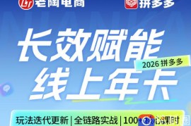 拼多多线上SVIP线上年卡，从认知到基础、从推广到活动、从活动到玩法，全链路实战(260730)