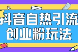 抖音引流创业粉自热玩法日引200 精准粉