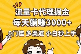 （14348期）流量卡代理掘金，0门槛，每天躺赚3000 ，多种推广渠道，新手小白轻松上手