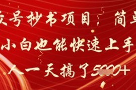 公众号抄书项目，简单粗暴，小白也能快速上手，有人一天搞了1k 