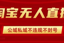 淘宝无人直播带货最新技术，不封号，不违规 操作简单，开播爆单，日入1k 【揭秘】