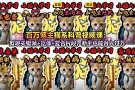 百万博主猫系科普视频课：剪映关键帧 抠像 复合片段，新手也能月入过万