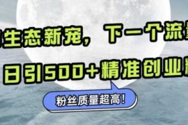 微信生态新宠小绿书：下一个流量洼地，日引500 精准创业粉，粉丝质量超高