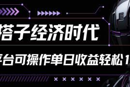 搭子经济时代小红书、抖音、快手全平台玩法全自动付费进群单日收益1000 