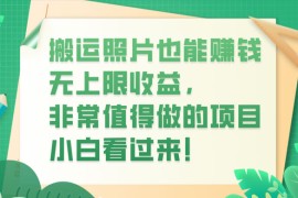 搬运照片也能赚钱，无上限收益，非常值得做的项目，小白看过来！