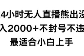 快手24小时无人直播熊出没，不封直播间，不违规，日入2000 ，最适合小白上手，保姆式教学【揭秘】