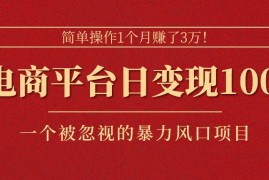 （11160期）简单操作1个月赚了3万！在电商平台日变现1000 ！一个被忽视的暴力风口…