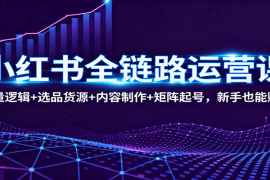 小红书全链路运营课：流量逻辑 选品货源 内容制作 矩阵起号，新手也能赚钱