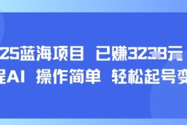 2025蓝海项目 已挣1k  全程AI 操作简单 轻松起号变现