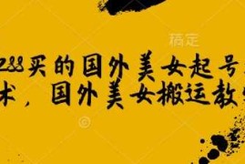1288买的国外美女起号技术，国外美女搬运教学