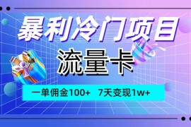 暴利冷门项目，流量卡，一单佣金 100 ，7 天变现 1w 