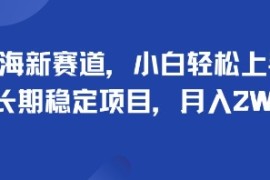 蓝海新赛道，小白轻松上手，长期稳定项目，月入2W