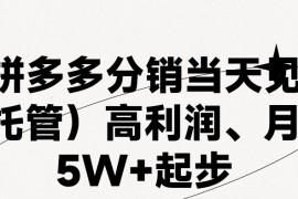 最新拼多多模式日入4K 两天销量过百单，无学费、 老运营代操作、小白福利，了解不吃亏