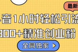 全网独家抖音引流，轻松日引300 精准创业粉【揭秘】