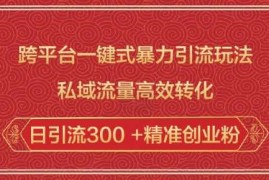 跨平台一键式暴力引流玩法，私域流量高效转化日引流300  精准创业粉
