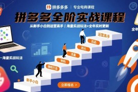 拼多多全阶实战课程，从新手小白到运营高手，海量实战玩法 全年实时更新【2025年9月更新】