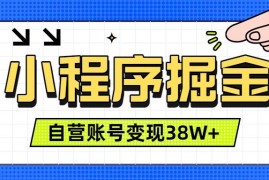 微信小程序掘金，团队自营小程序累计变现38W ，稳定运营三年，一部手机即可操作