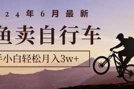 （10915期）2024年6月最新闲鱼卖自行车，新手小白轻松月入3w 项目