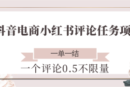 抖音电商小红书评论任务项目，一个评论0.5，一单一结 不限量