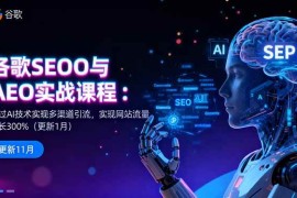（16463期）谷歌SEO与AEO实战课程：通过AI技术实现多渠道引流，实现网站流量增长300%