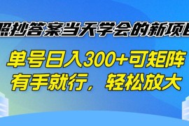 （14246期）照抄答案当天学会的新项目，单号日入300  可矩阵，有手就行，轻松放大
