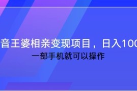 抖音王婆相亲变现私域项目，日入1000  一部手机就可操作