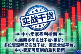 电商圈多年实战干货-更新2026：多位资深师兄实战干货/覆盖全域平台，中小卖家可复制的盈利指南