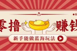 新手也能变现的蓝海玩法，一个人人能做的项目，需求量极大日入300 ！