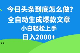 （10541期）今日头条最新最强连怼操作，10分钟50条，真正解放双手，月入1w 