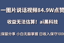 一图片说话视频84.9W点赞，收益无法估算，ai赛道蓝海项目，小白无脑掌握日收入保守1000 【揭秘】