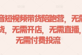 抖音短视频带货陪跑营，无需囤货、无需开店、无需直播,无需付费投流